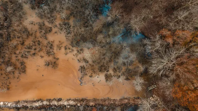 a view of a dry yard