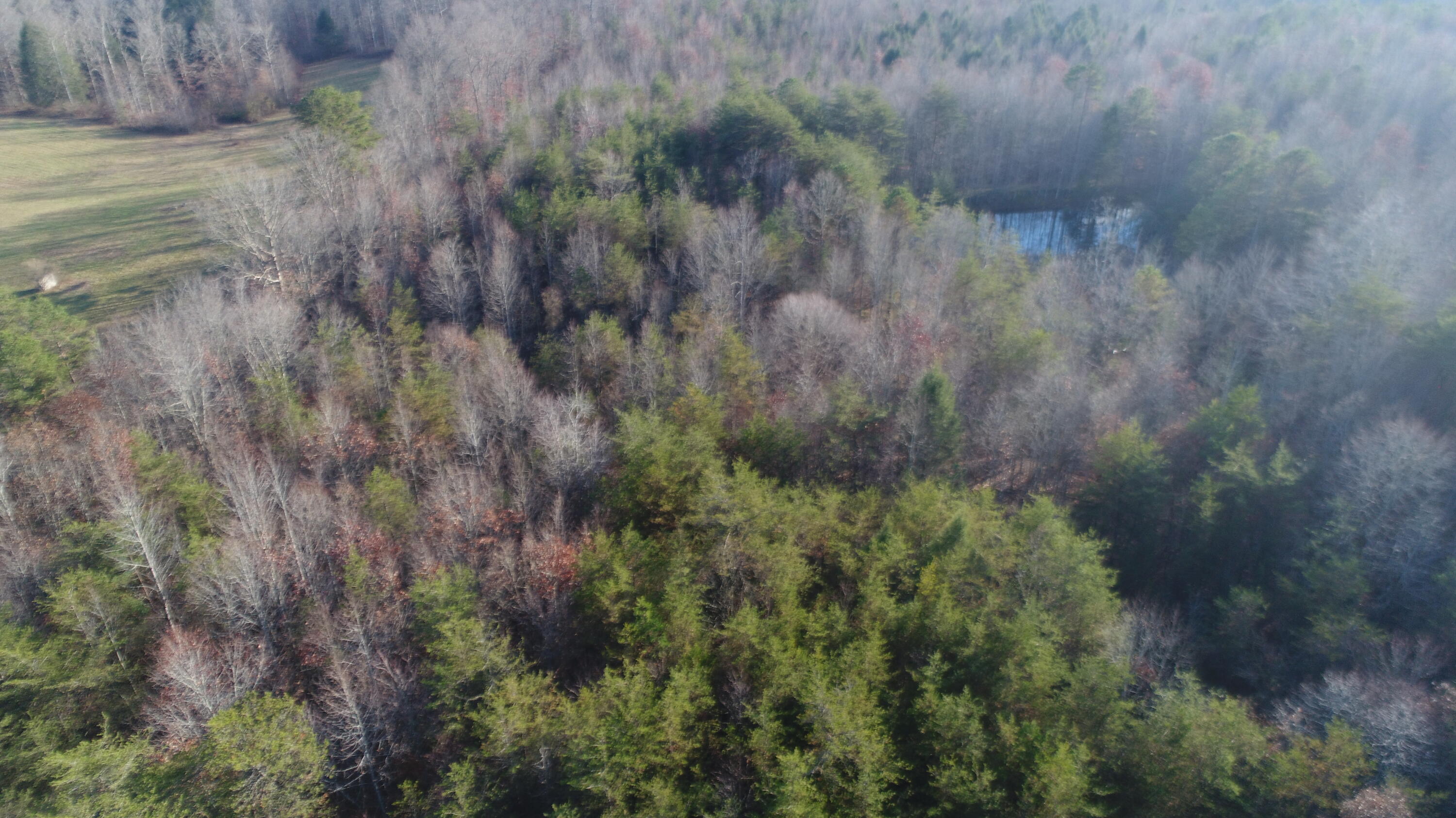 250 Chimney Rock Church Road Somerset, KY 42501 - Photo 1 of 15 DJI_0057