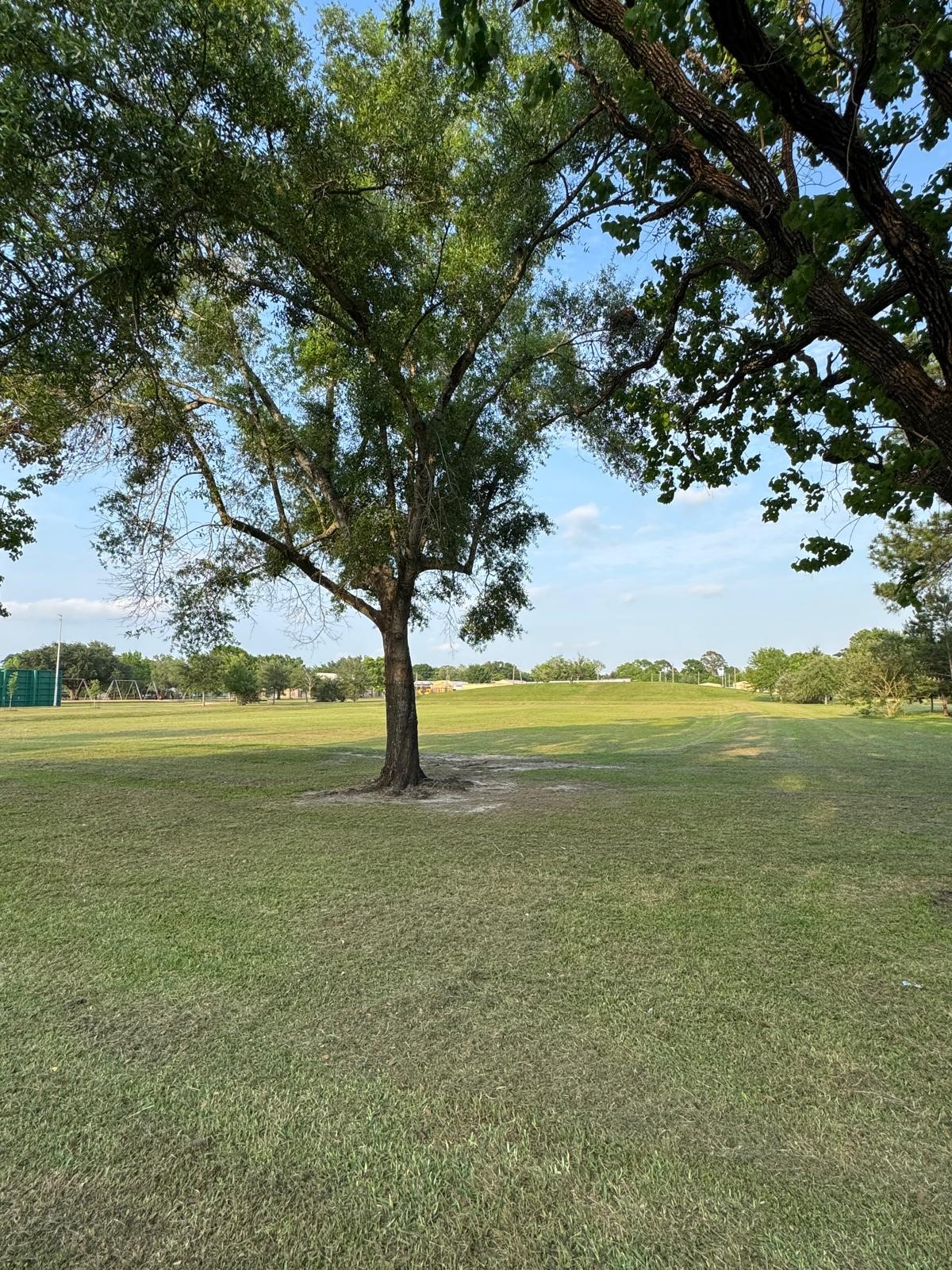 8787 Brae Acres Road, Unit 103 Houston, TX 77074 - Photo 18 of 20
