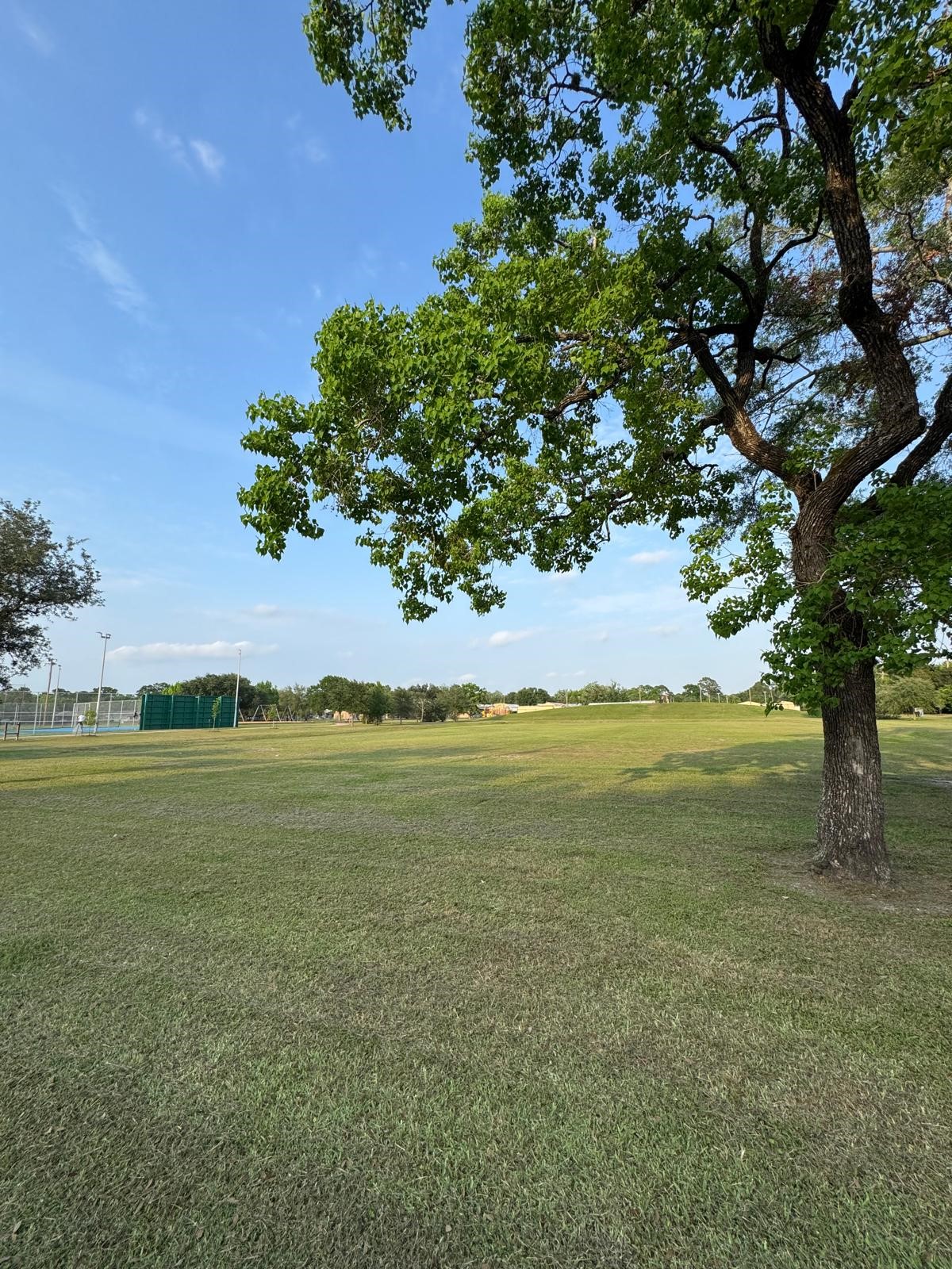 8787 Brae Acres Road, Unit 103 Houston, TX 77074 - Photo 20 of 20
