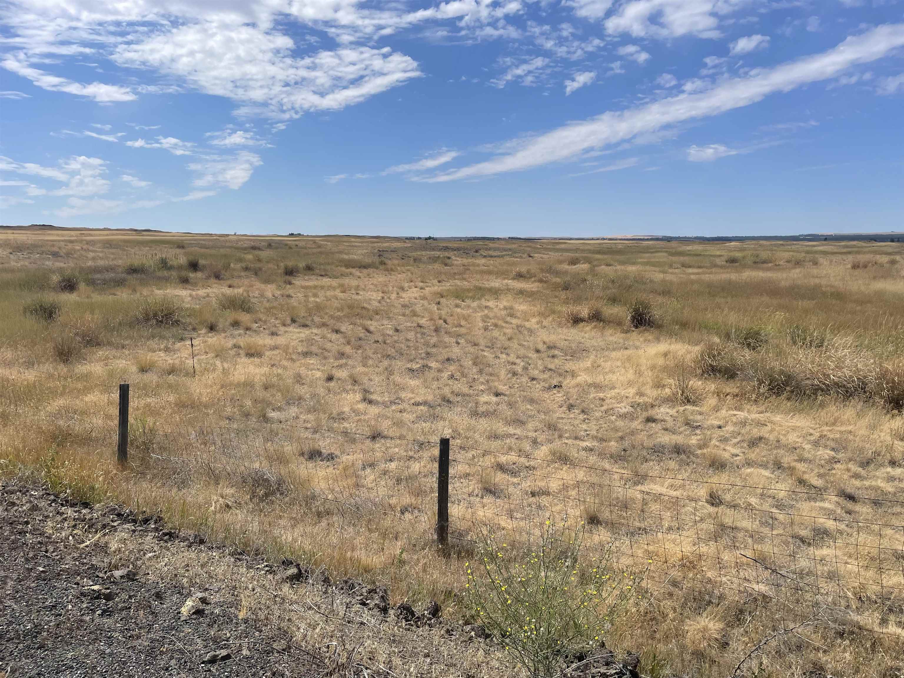 35251 Crescent N Road, Unit PARCEL 1 Reardan, WA 99029 - Photo 14 of 20