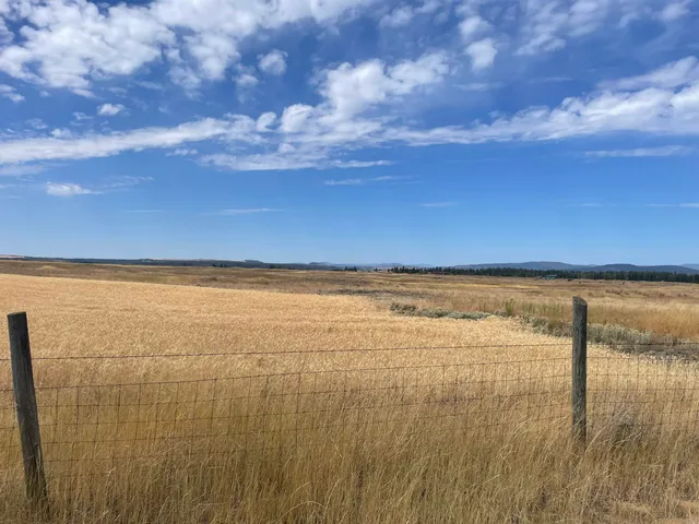 $120,000 | 35251 Crescent N Road, Unit PARCEL 1, Reardan, WA 99029