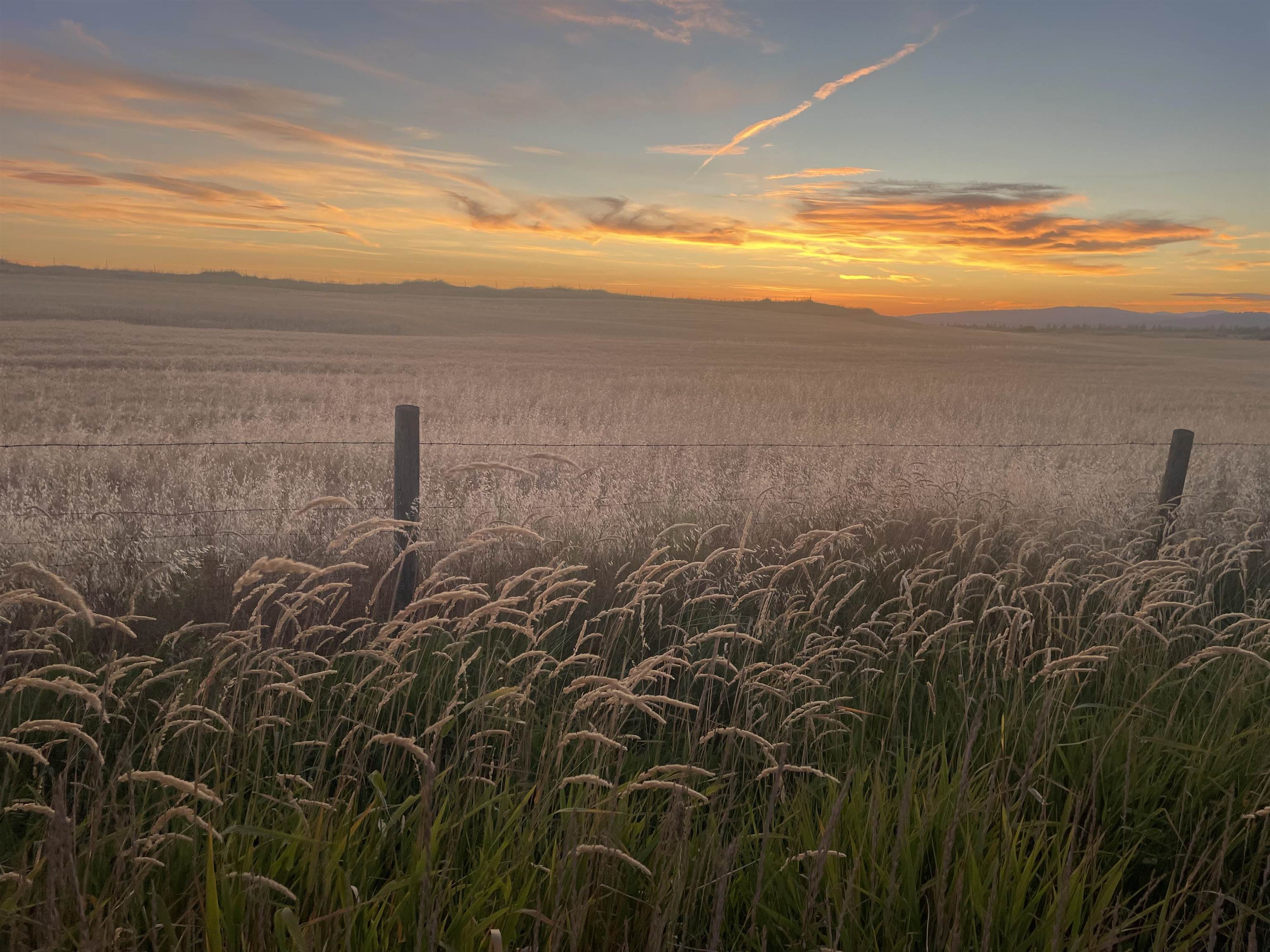 35251 Crescent N Road, Unit PARCEL 1 Reardan, WA 99029 - Photo 4 of 20