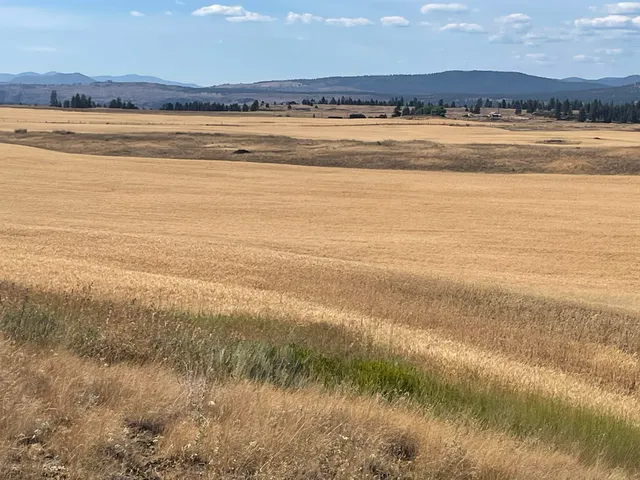 $120,000 | 35251 Crescent N Road, Unit PARCEL 1, Reardan, WA 99029