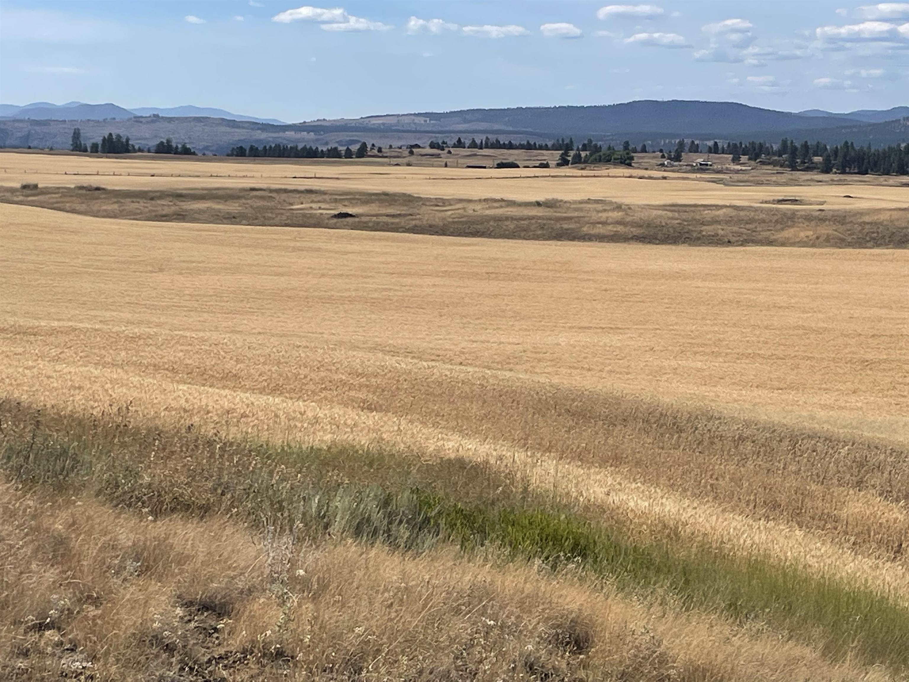 35251 Crescent N Road, Unit PARCEL 1 Reardan, WA 99029 - Photo 5 of 20