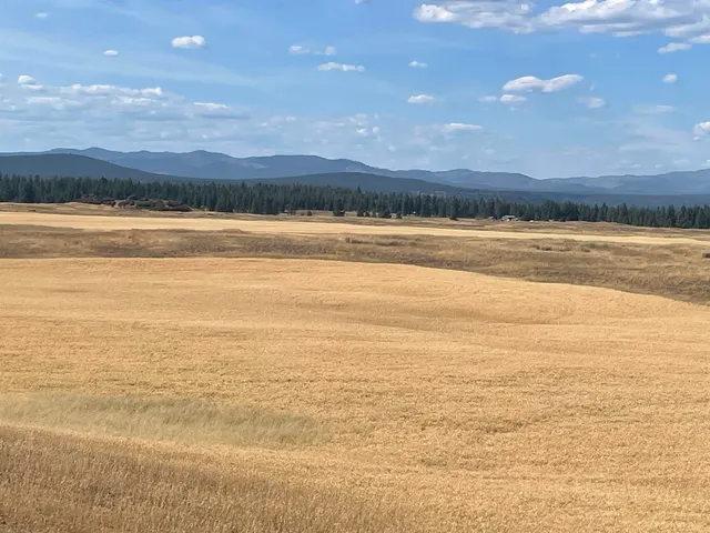 $120,000 | 35251 Crescent N Road, Unit PARCEL 1, Reardan, WA 99029