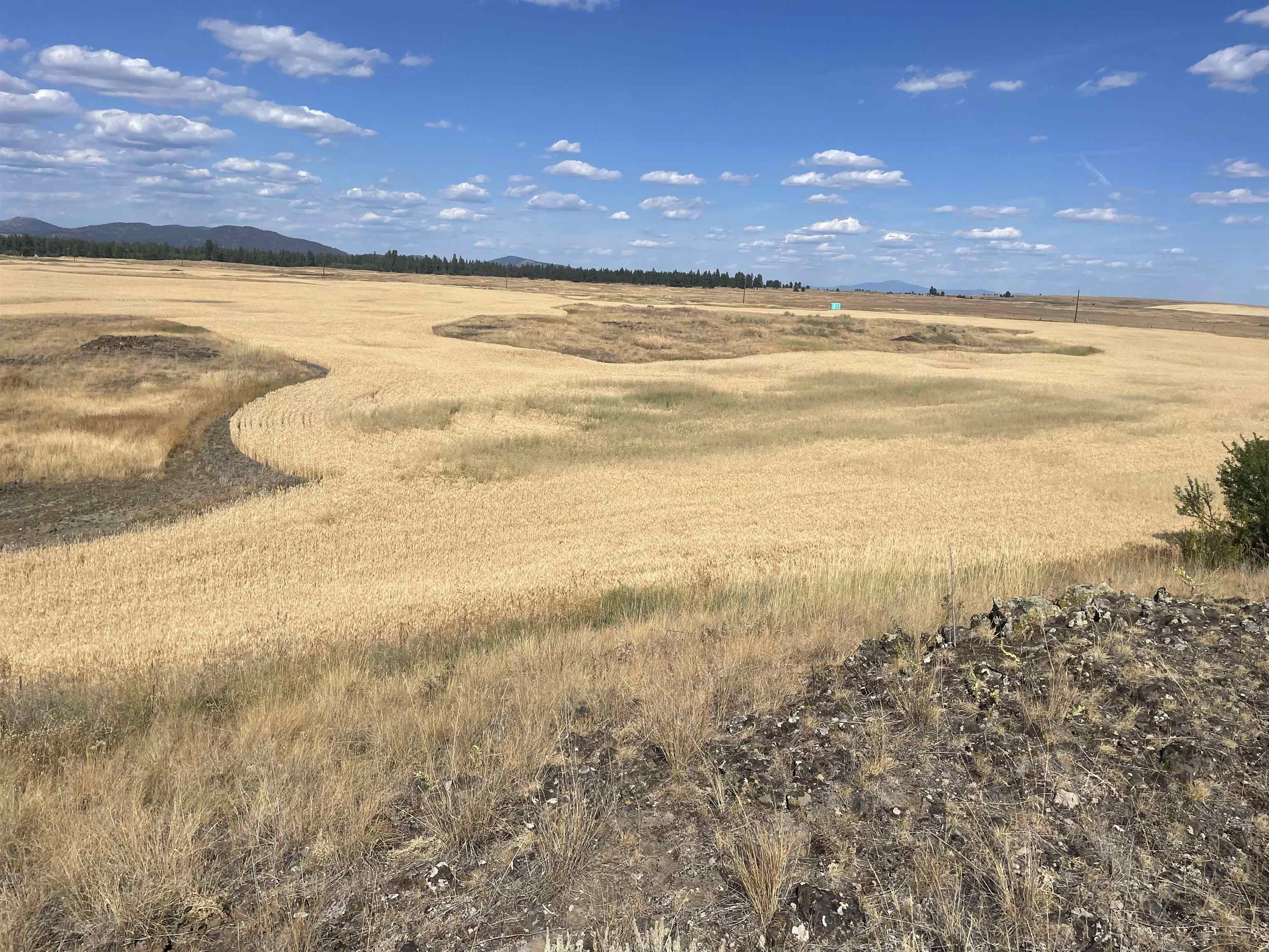 35251 Crescent N Road, Unit PARCEL 1 Reardan, WA 99029 - Photo 9 of 20