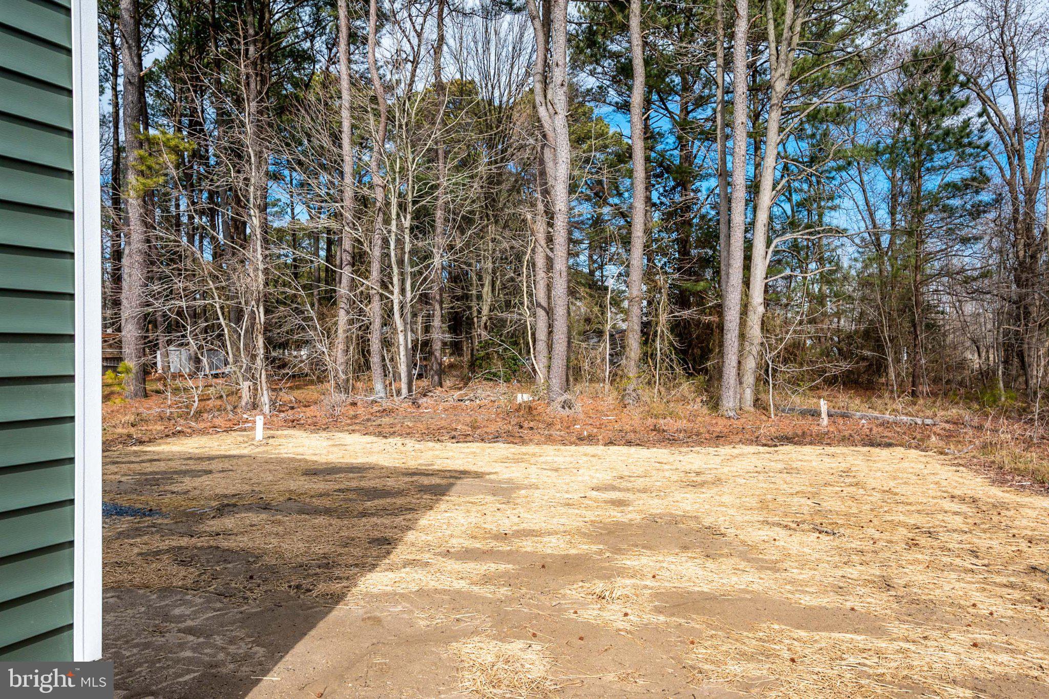 309 Talbot Road Stevensville, MD 21666 - Photo 26 of 26 Serene woodland retreat awaits you.