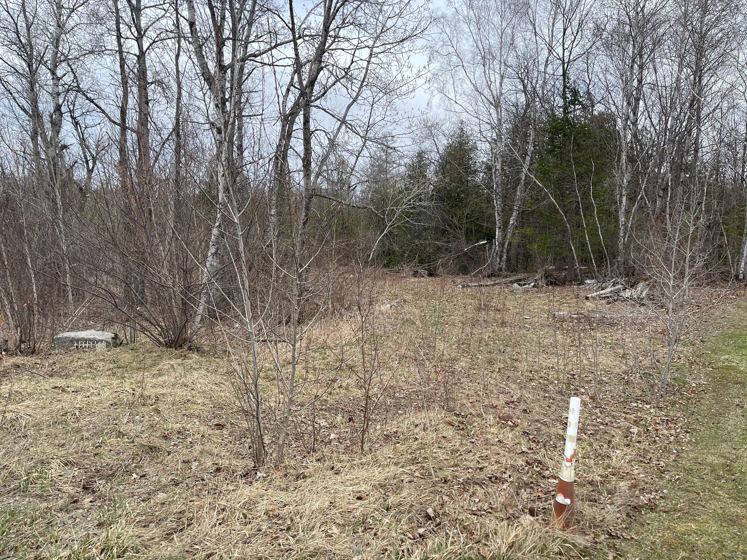 Lot 18 Beans Mill Road Corinth, ME 04427 - Photo 9 of 12 Lot 18
