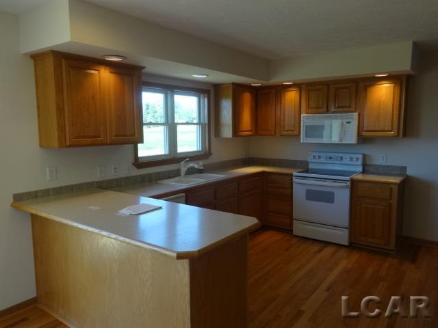 4323 Munger Road Tipton, MI 49287 - Photo 3 of 31
