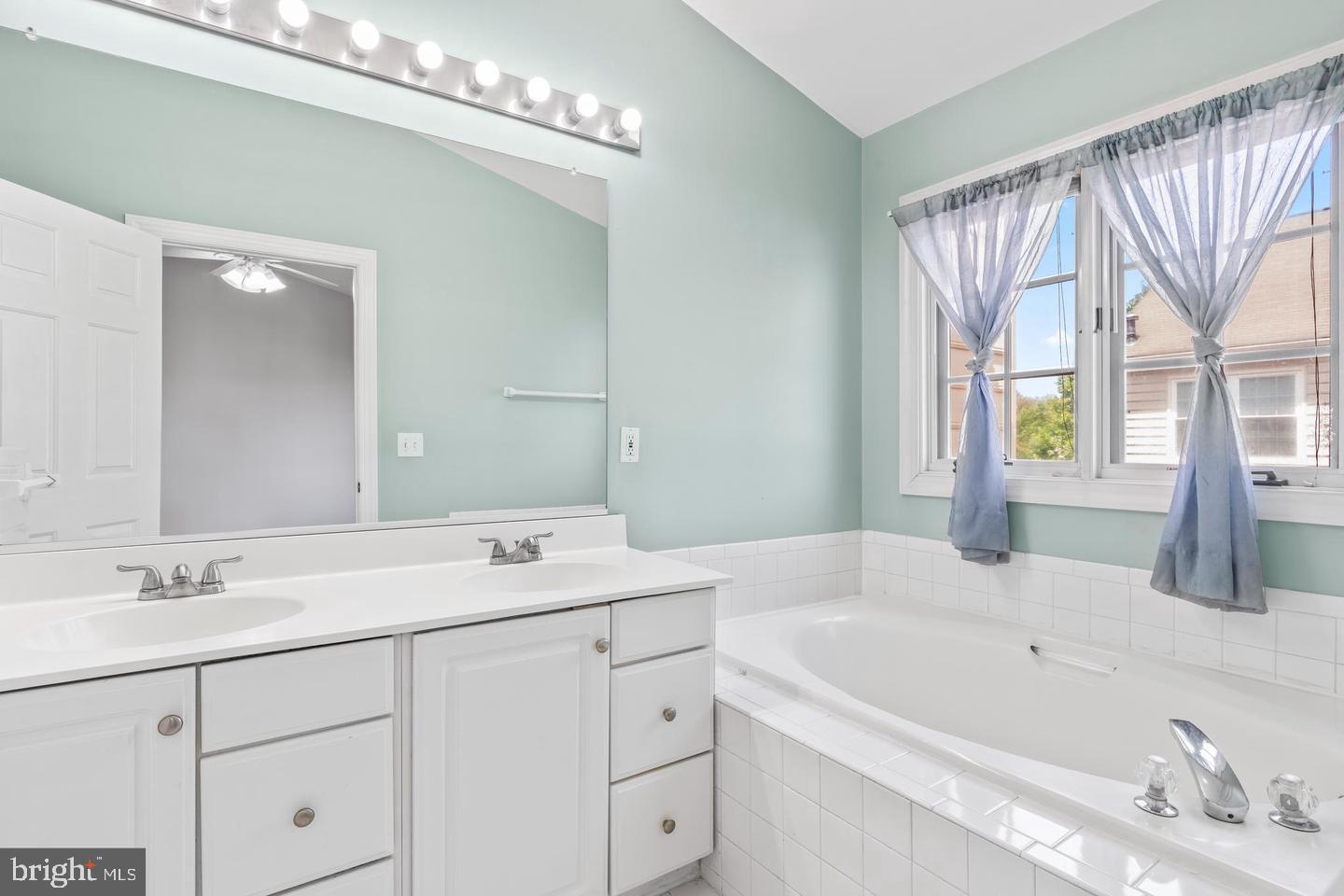 19893 Upland Terrace Ashburn, VA 20147 - Photo 19 of 29 a bathroom with a sink a large mirror and a bathtub