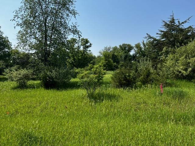 Hill Street, Unit 3 Markesan, WI 53946 - Photo 2 of 9