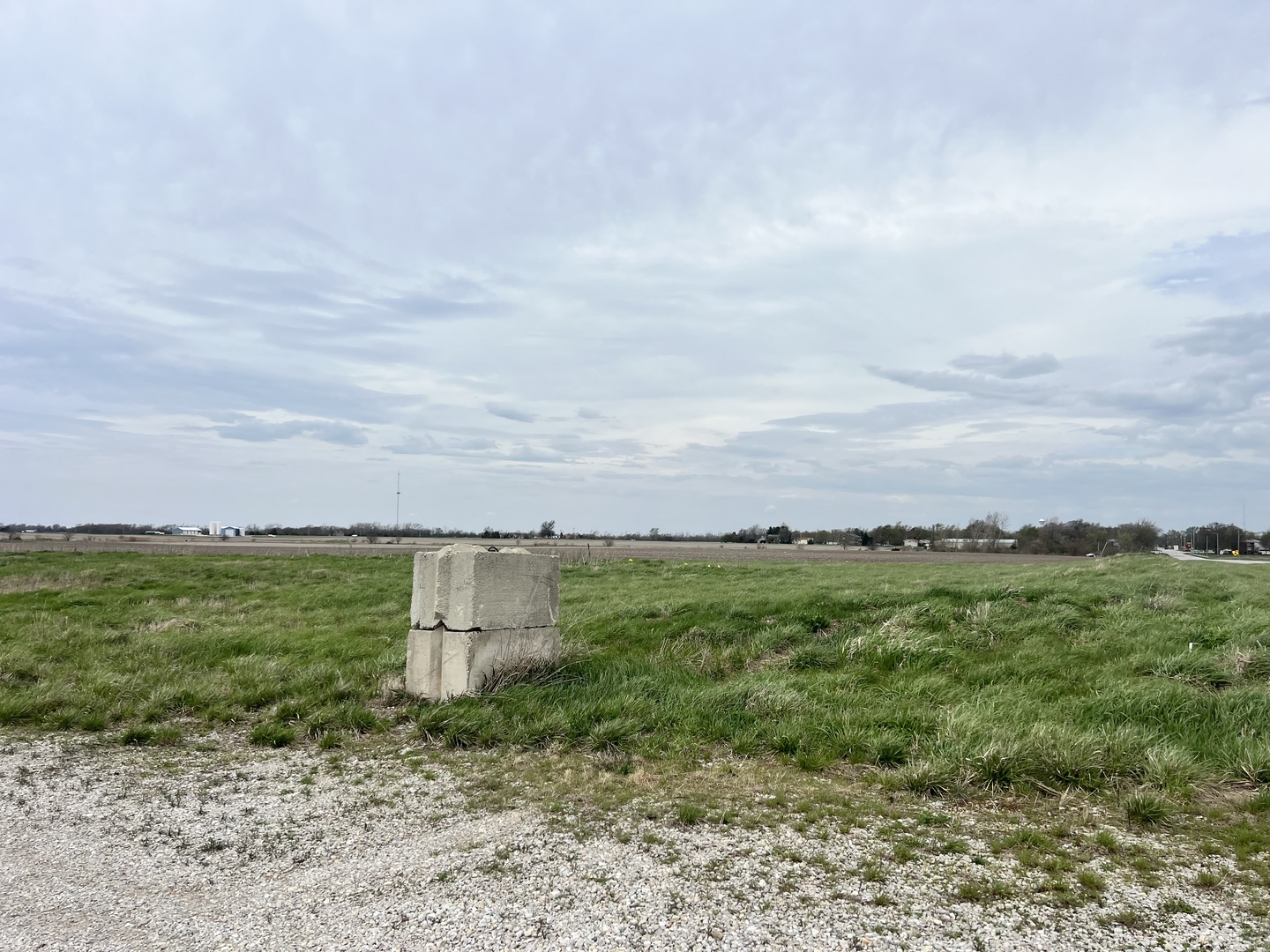 40598 Highway 49 Rankin, IL 60960 - Photo 4 of 9 a view of a garden with a building in the background