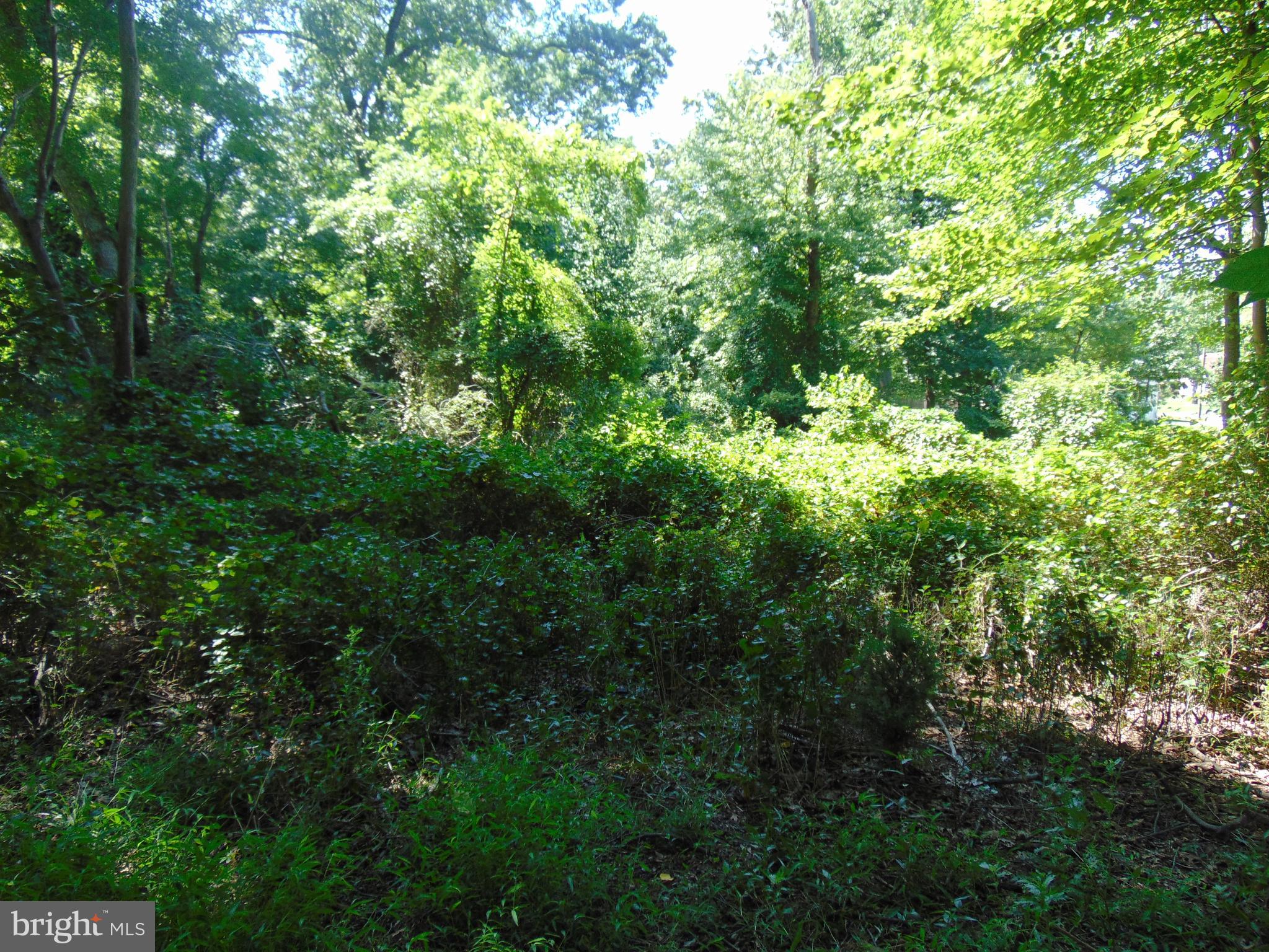 608 Rosier Road Fort Washington, MD 20744 - Photo 2 of 6 LOT VIEW