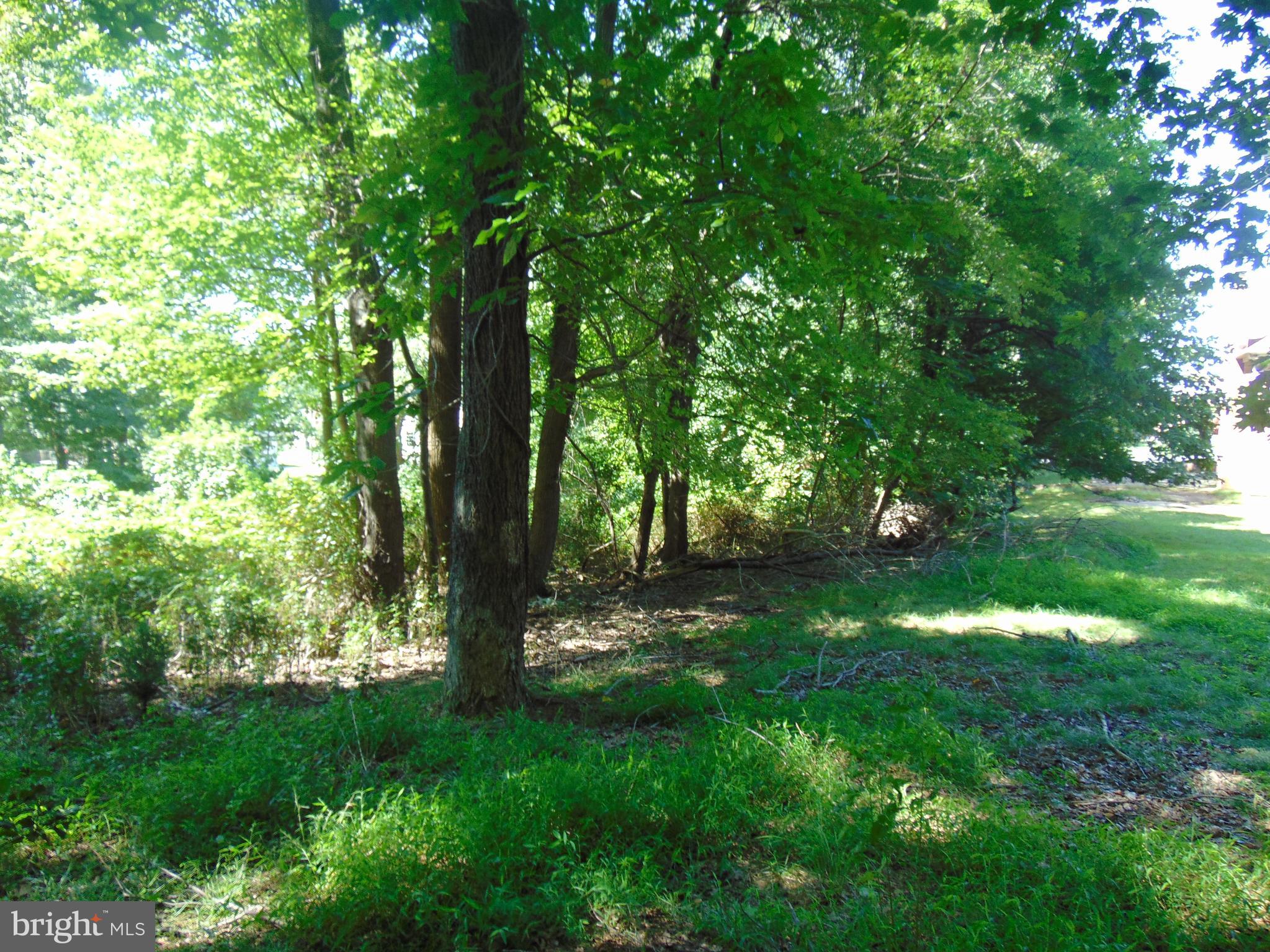 608 Rosier Road Fort Washington, MD 20744 - Photo 3 of 6 SIDE OF THE LOT