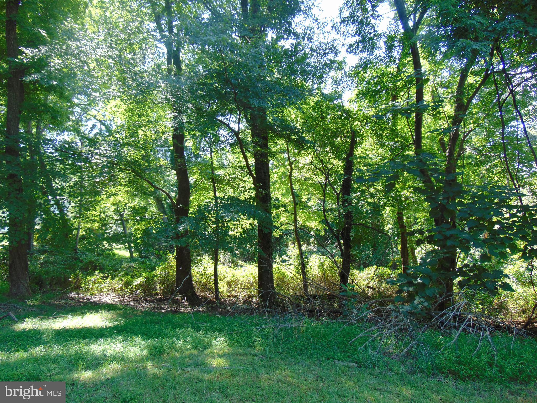 608 Rosier Road Fort Washington, MD 20744 - Photo 4 of 6 MORE