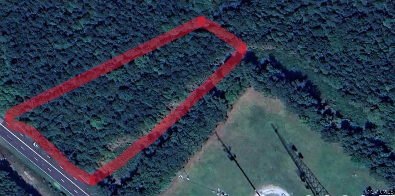 0 County Drive Disputanta, VA 23842 - Photo 2 of 3 a view of a yard