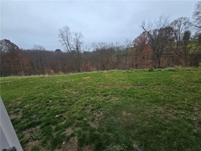 a view of a field of grass and trees