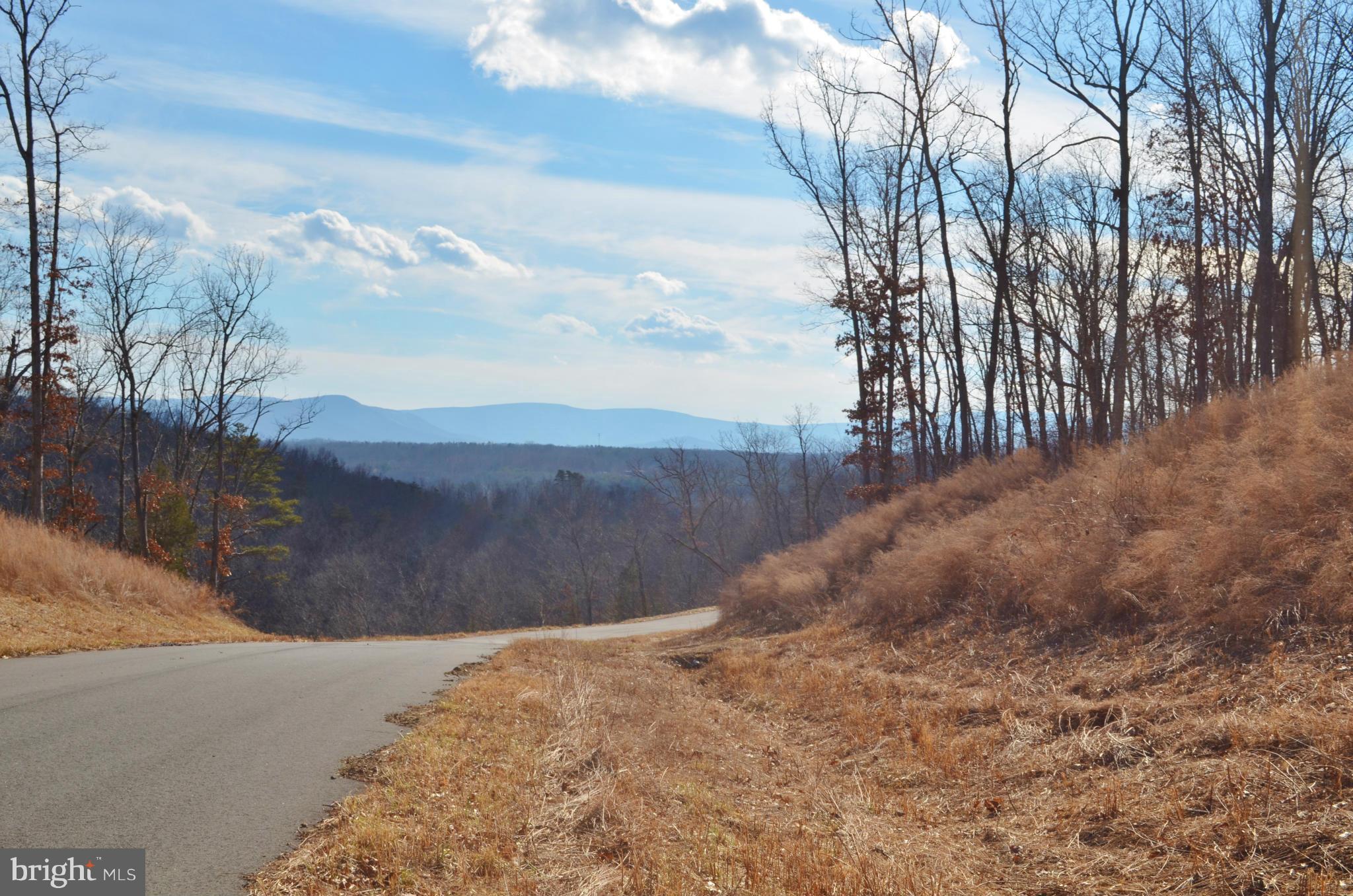 a view of a dry yard with wooden fence