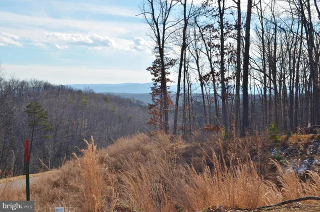 a view of a yard with wooden fence