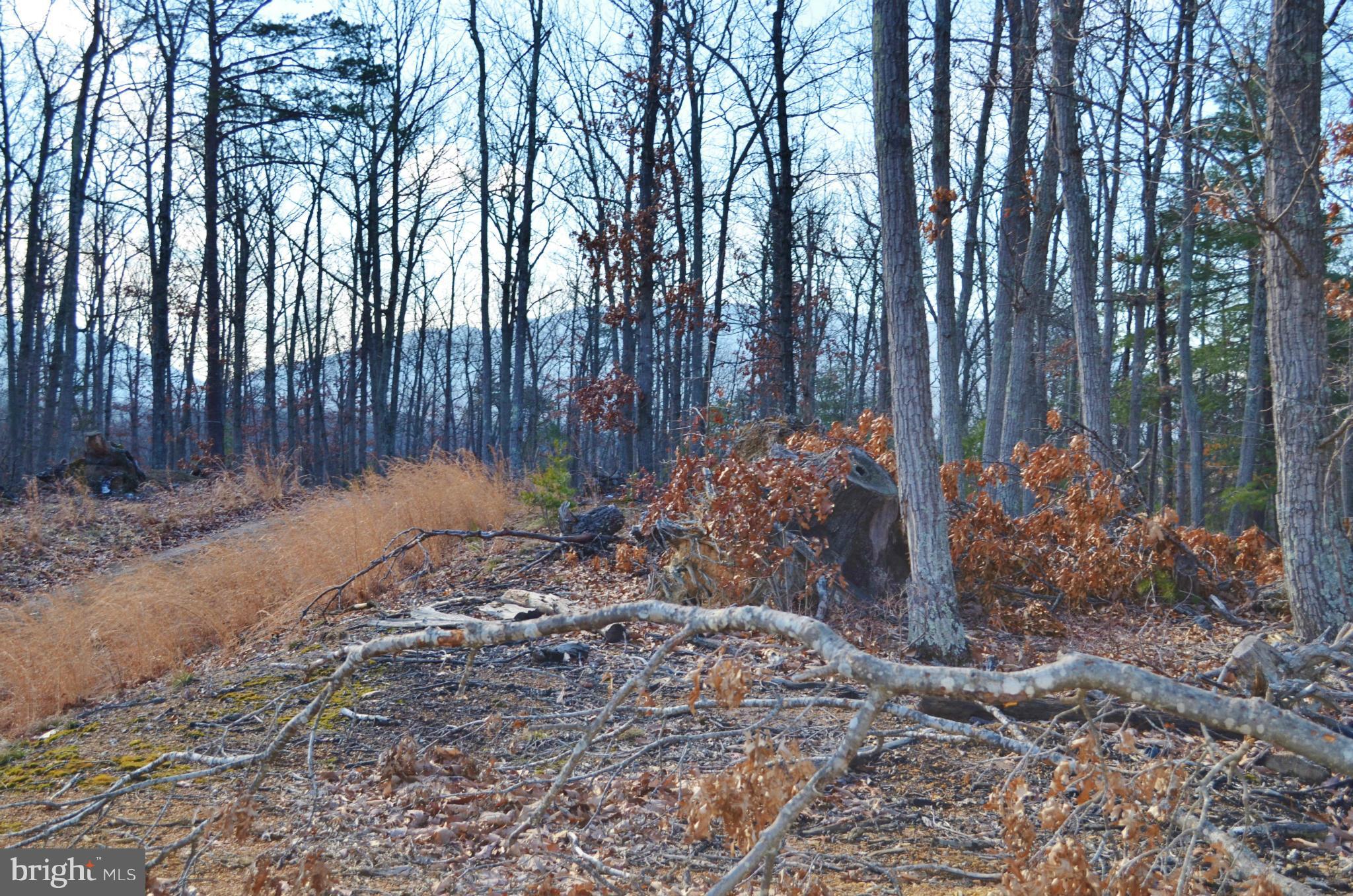 Comforter Lane Middletown, VA 22645 - Photo 5 of 6 a backyard of a house with lots of green space