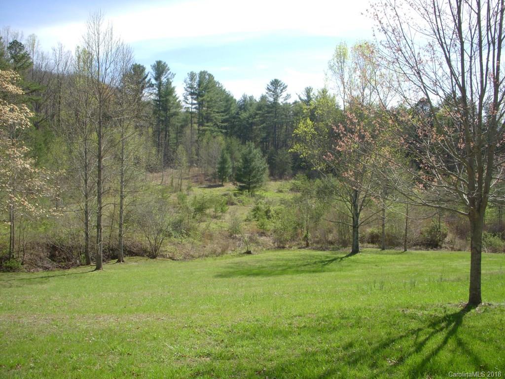 4017 Howard Gap Road Saluda, NC 28773 - Photo 22 of 29 Gallery Image 22