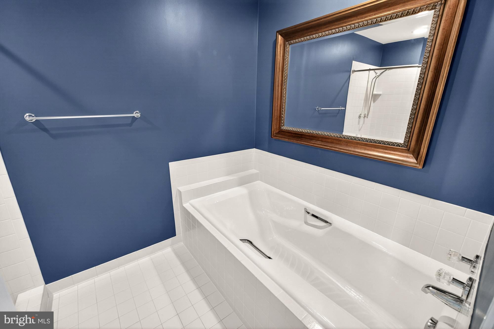 17212 Whites Road Poolesville, MD 20837 - Photo 56 of 104 Separate soaking tub!