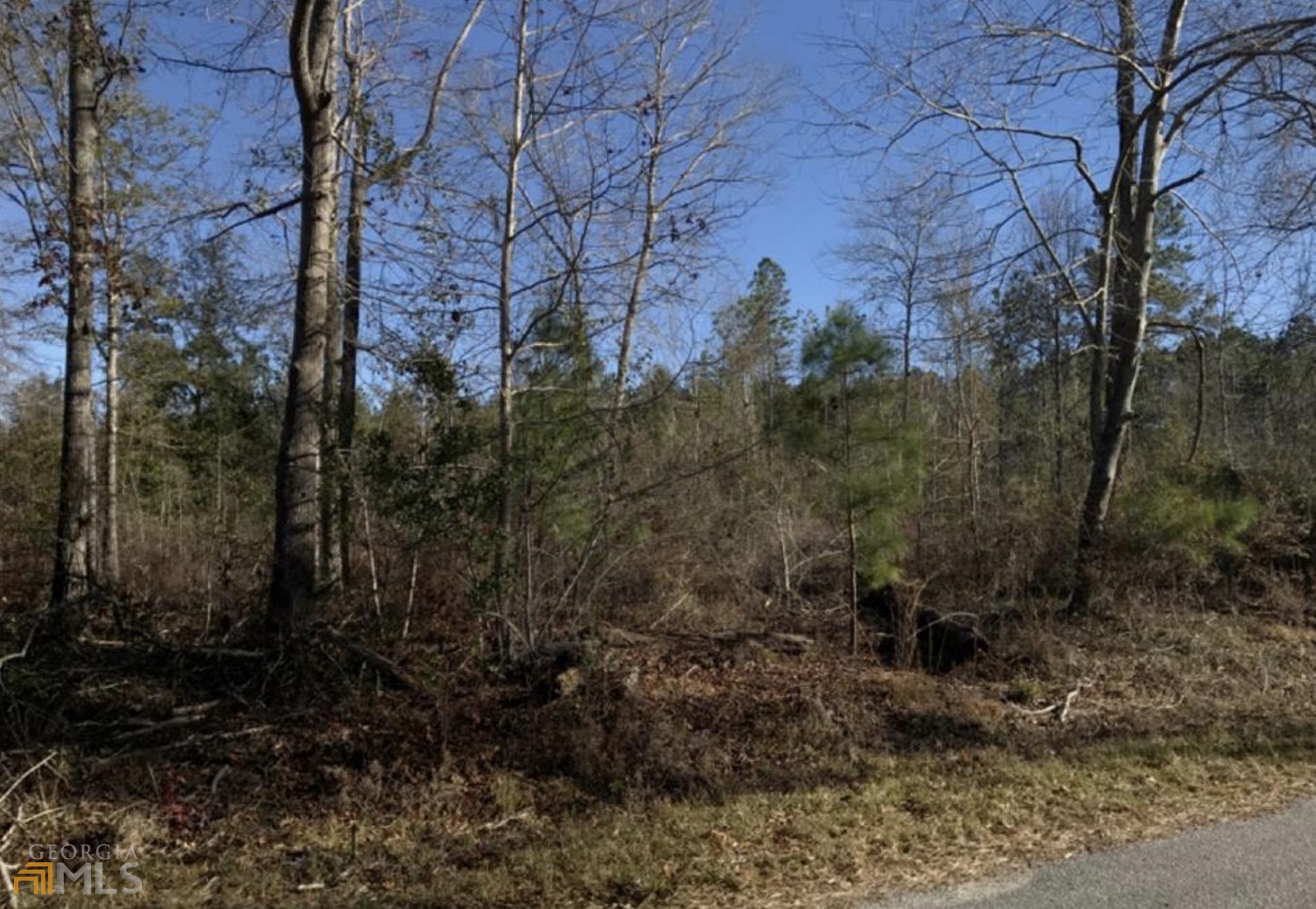 Lot 6 Scenic Route Cordele, GA 31015 - Photo 1 of 1 a view of a yard with plants and a bench