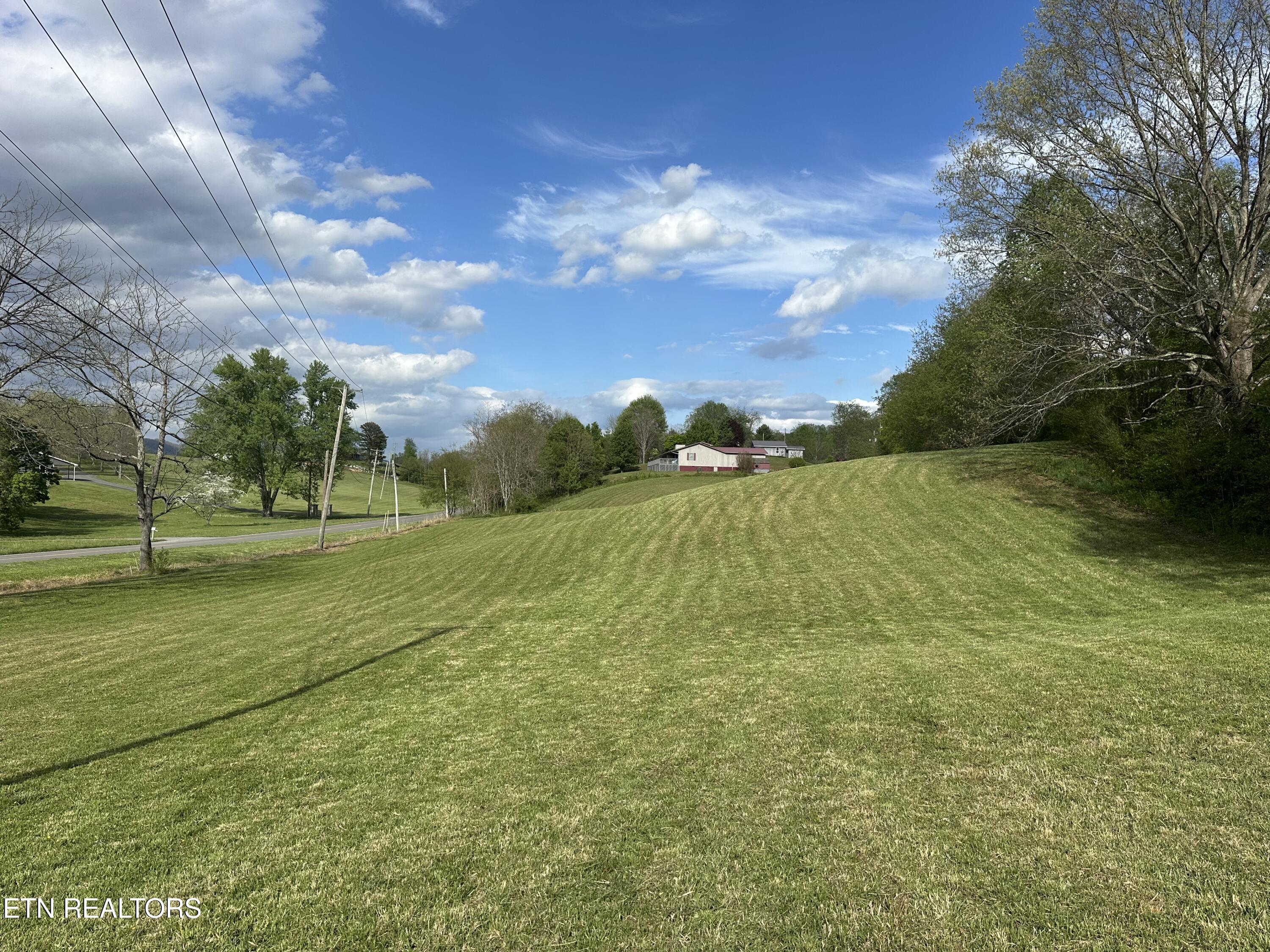 Tbd Dr Thomas Walker Road Rose Hill, VA 24281 - Photo 1 of 13 IMG_1696