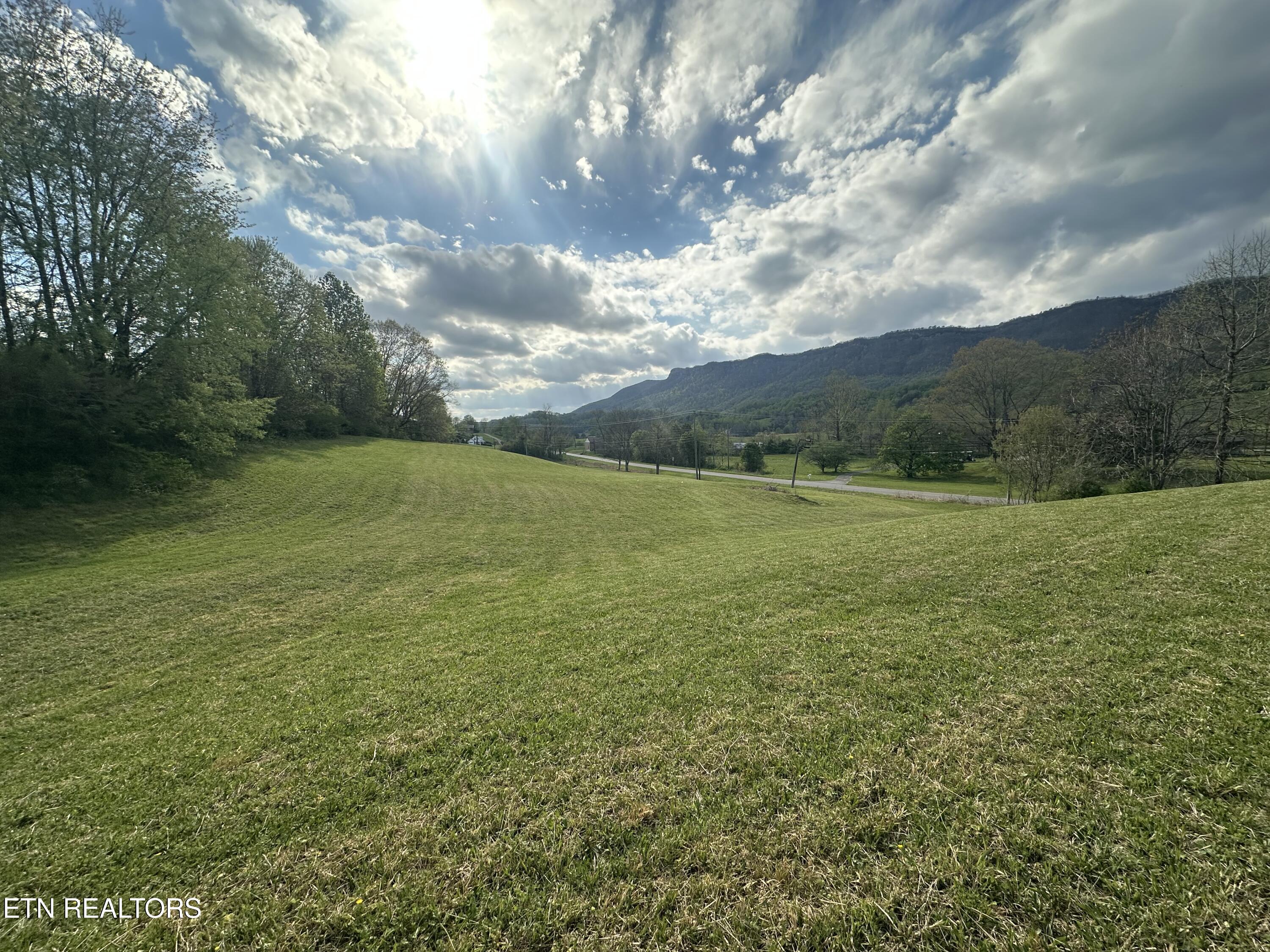 Tbd Dr Thomas Walker Road Rose Hill, VA 24281 - Photo 2 of 13 IMG_1686