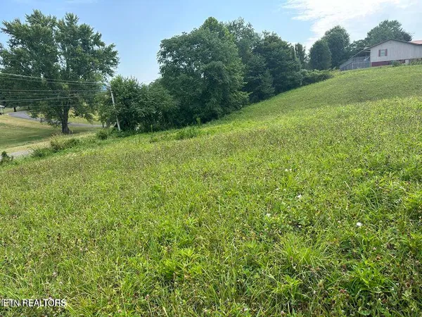 $49,000 | Tbd Dr Thomas Walker Road, Rose Hill, VA 24281