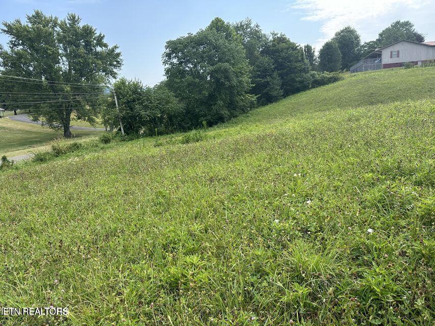 Tbd Dr Thomas Walker Road Rose Hill, VA 24281 - Photo 2 of 7 20240715153835394333000000-o