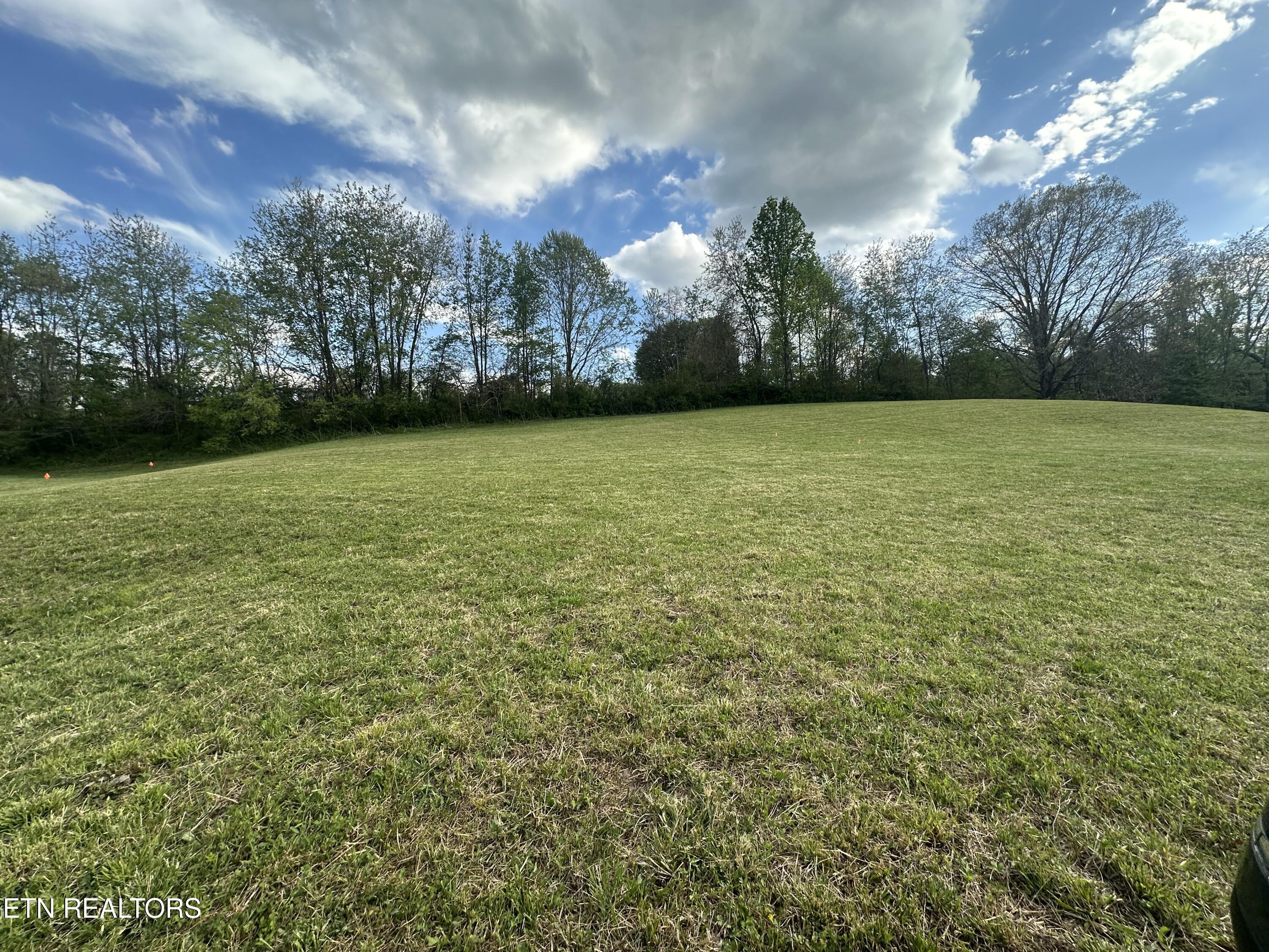 Tbd Dr Thomas Walker Road Rose Hill, VA 24281 - Photo 3 of 13 IMG_1692