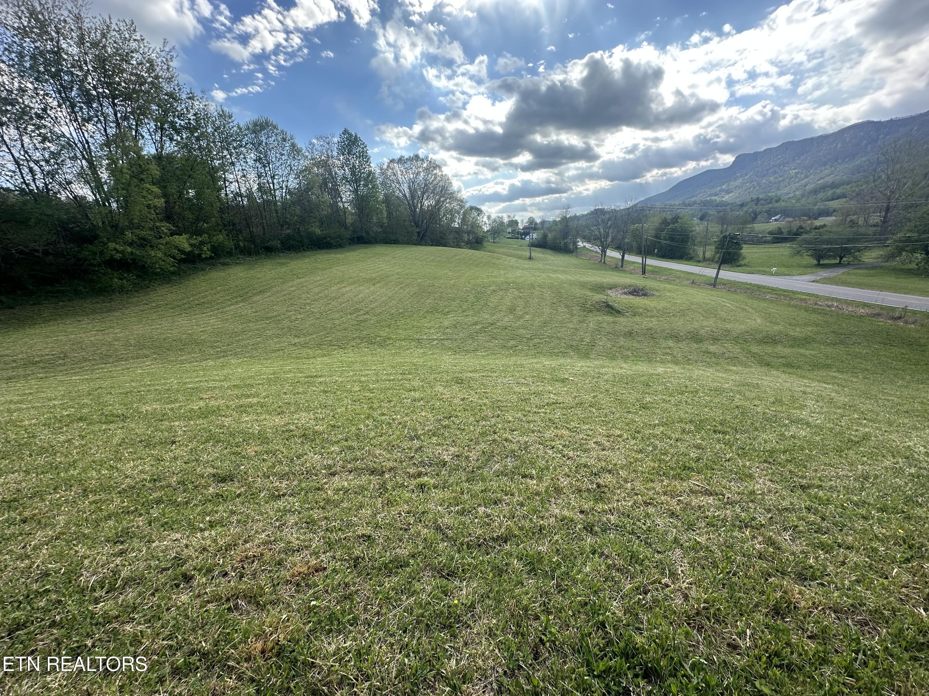 Tbd Dr Thomas Walker Road Rose Hill, VA 24281 - Photo 4 of 13 IMG_1688
