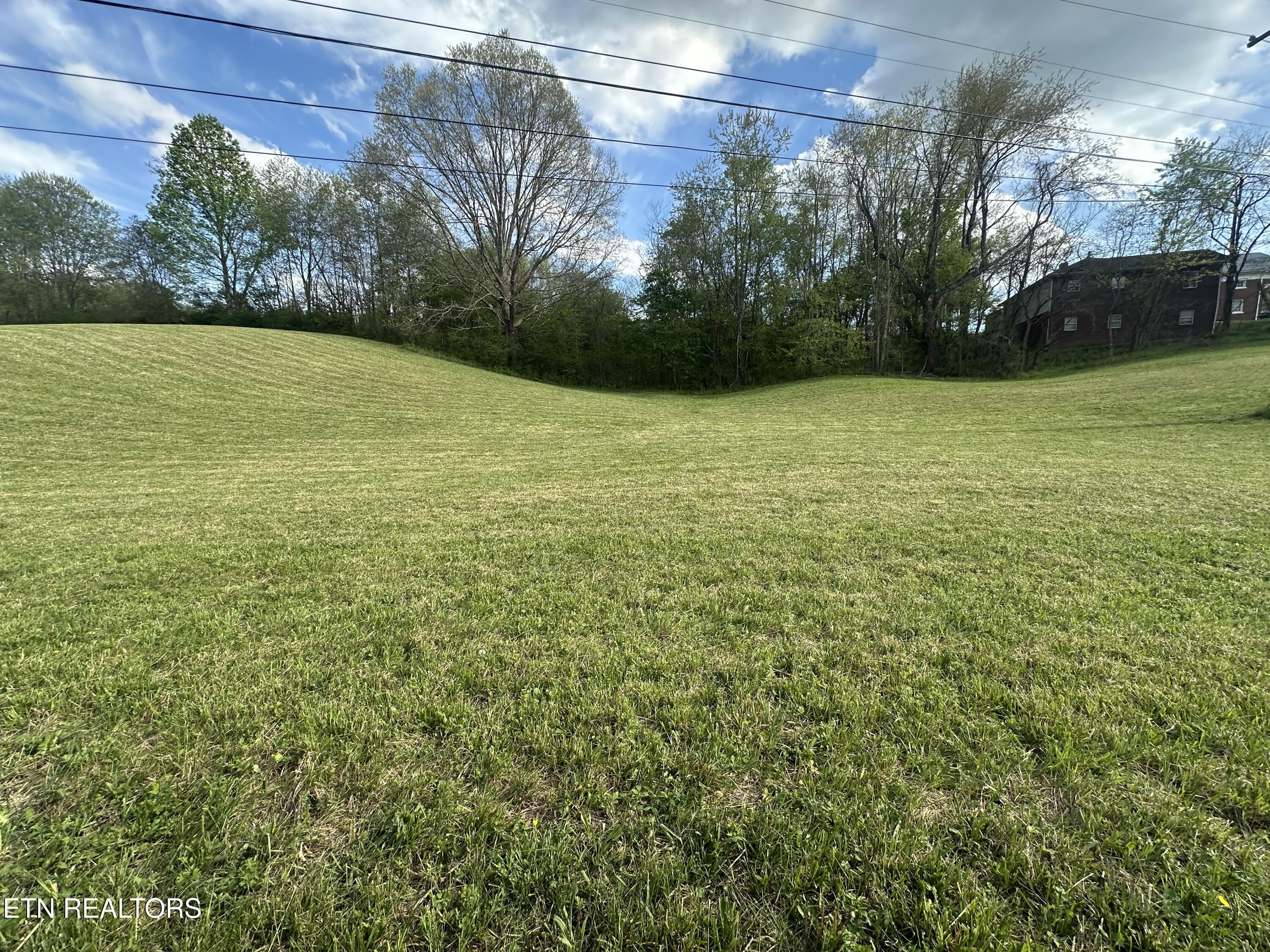 Tbd Dr Thomas Walker Road Rose Hill, VA 24281 - Photo 6 of 13 IMG_1694