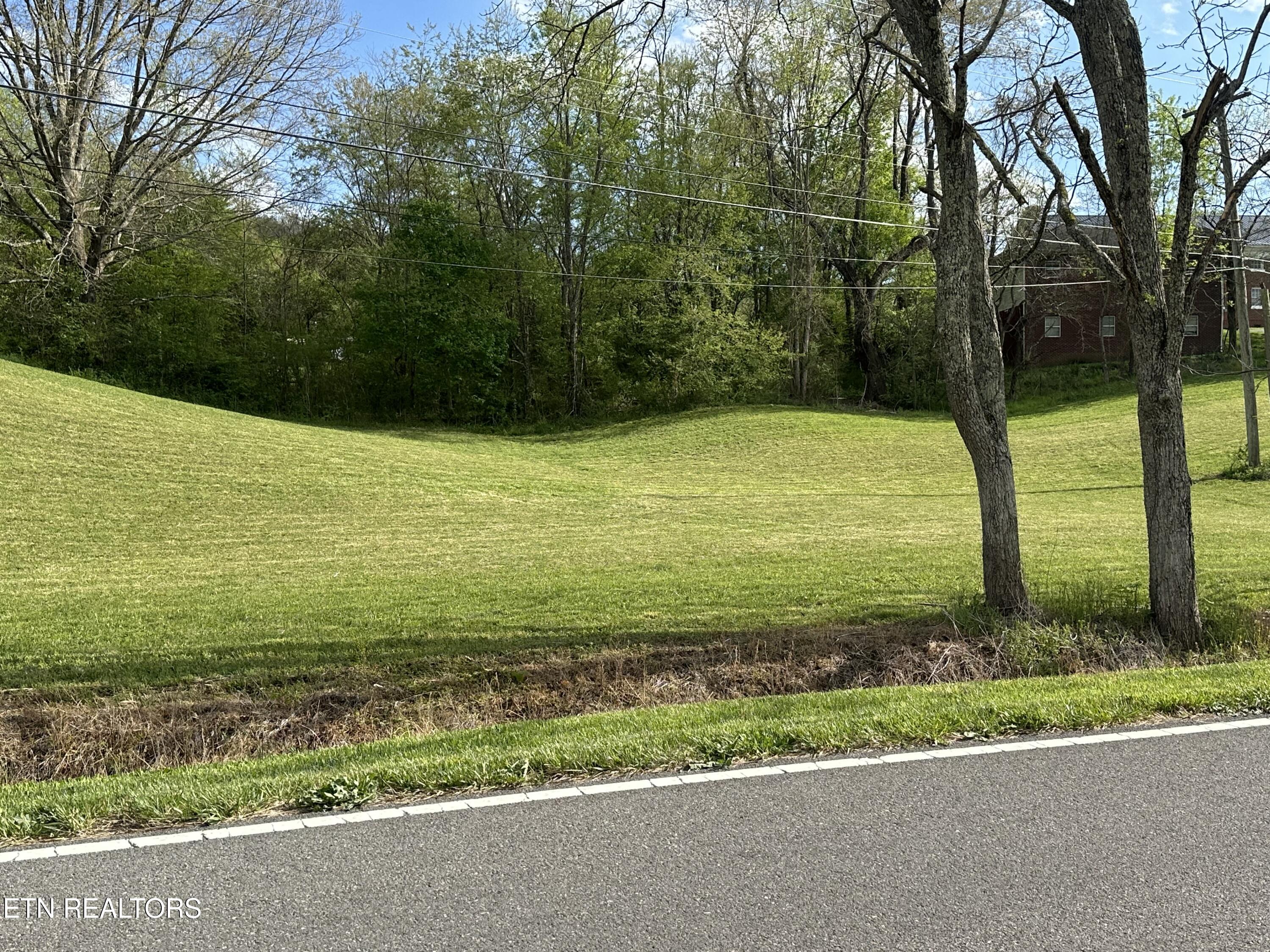 Tbd Dr Thomas Walker Road Rose Hill, VA 24281 - Photo 10 of 13 IMG_1715
