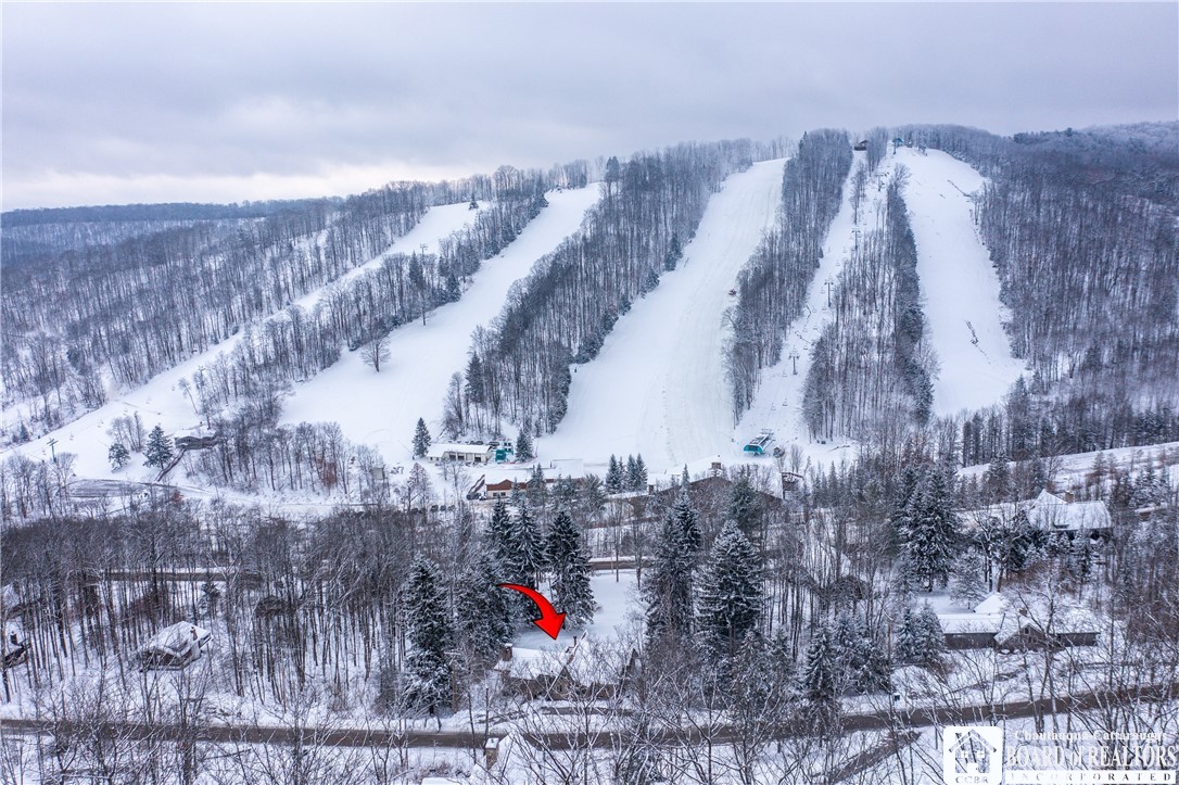 6710 Upper Road Ellicottville, NY 14731 - Photo 2 of 43