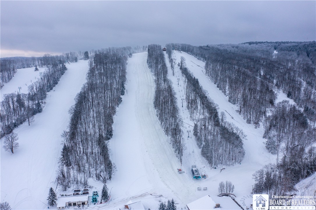 6710 Upper Road Ellicottville, NY 14731 - Photo 4 of 43