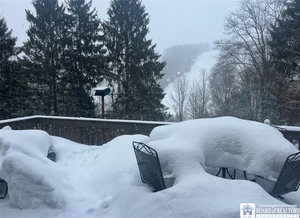 6710 Upper Road Ellicottville, NY 14731 - Photo 42 of 43