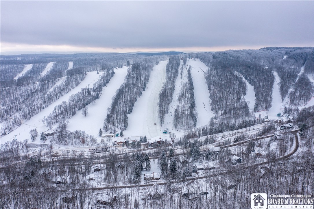 6710 Upper Road Ellicottville, NY 14731 - Photo 5 of 43