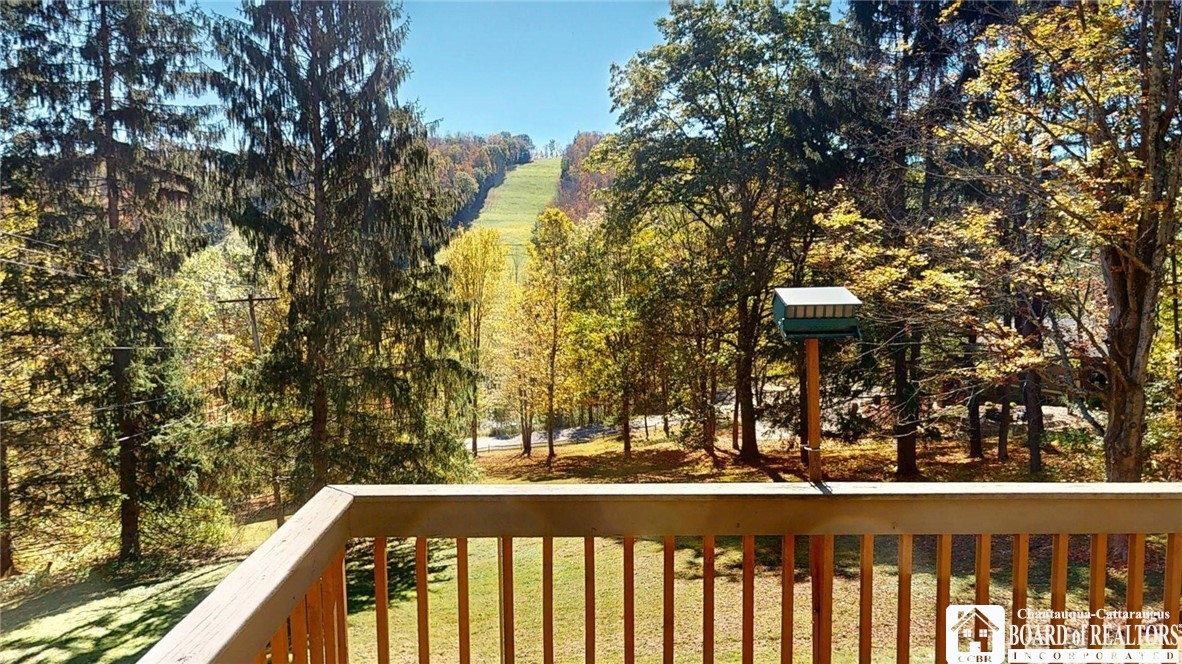 6710 Upper Road Ellicottville, NY 14731 - Photo 8 of 43