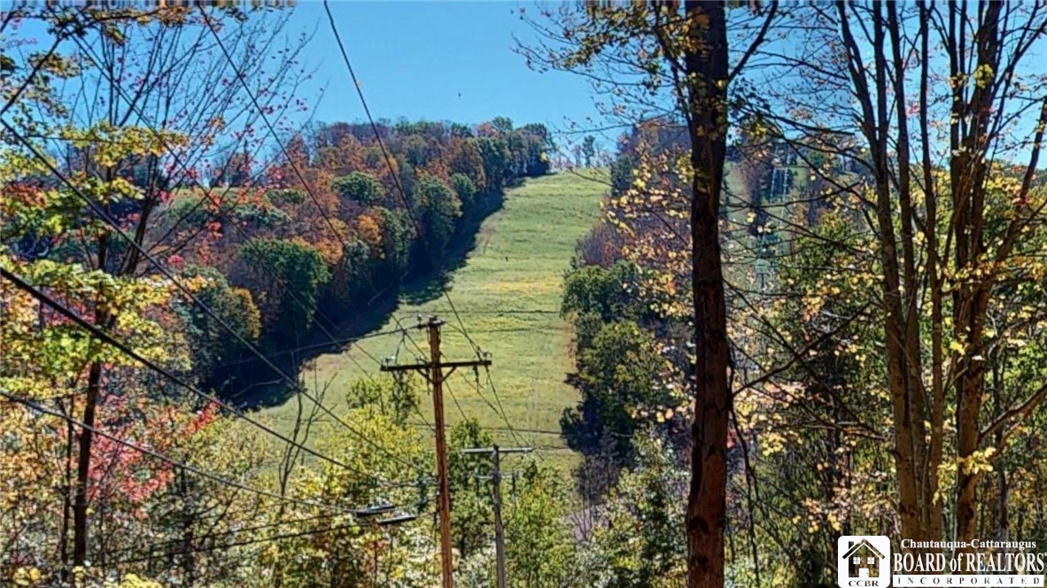 6710 Upper Road Ellicottville, NY 14731 - Photo 9 of 43