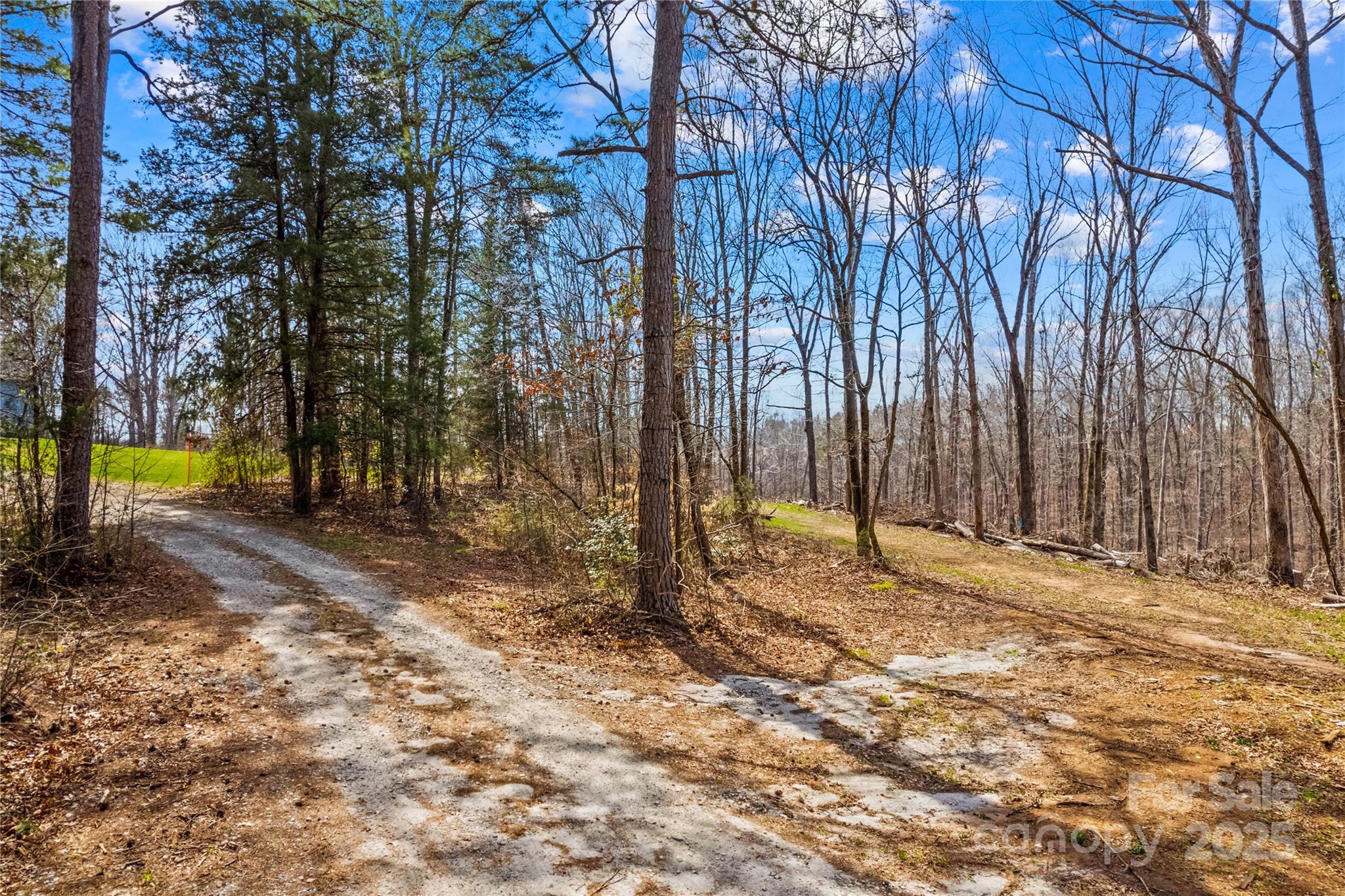 825 Potneck Road Salisbury, NC 28147 - Photo 22 of 40 a view of a yard with trees