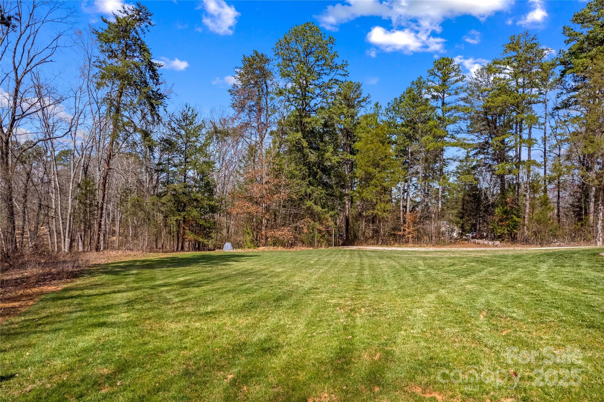 825 Potneck Road Salisbury, NC 28147 - Photo 25 of 40 a view of outdoor space with trees all around