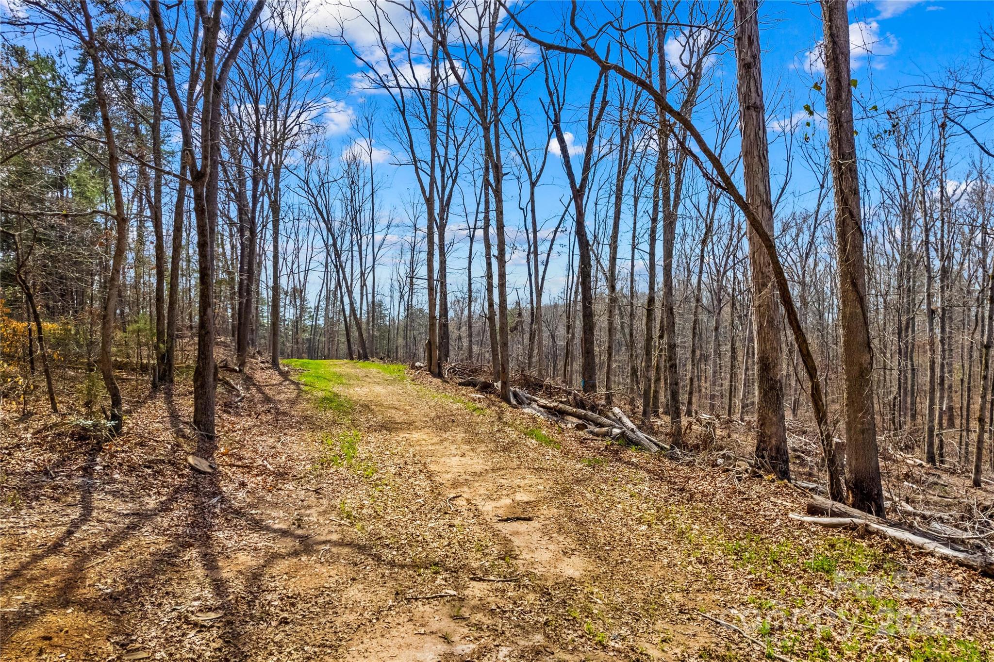 825 Potneck Road Salisbury, NC 28147 - Photo 29 of 40 a view of backyard space