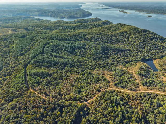 a view of a field with an ocean view