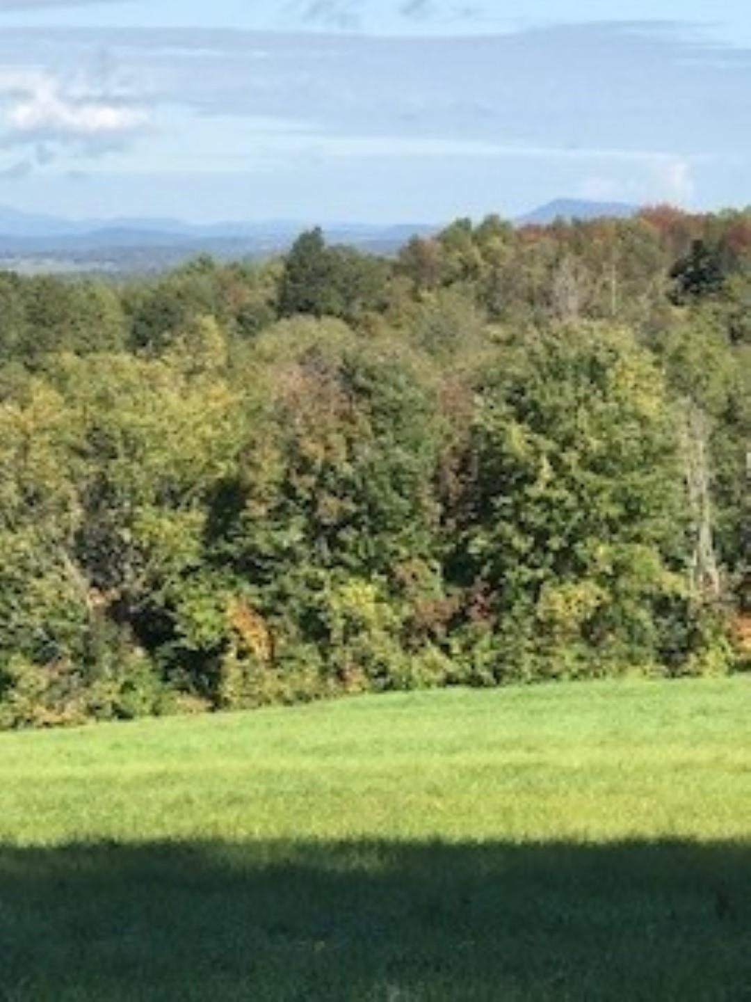 Huff Pond Road Sudbury, VT 05733 - Photo 12 of 39