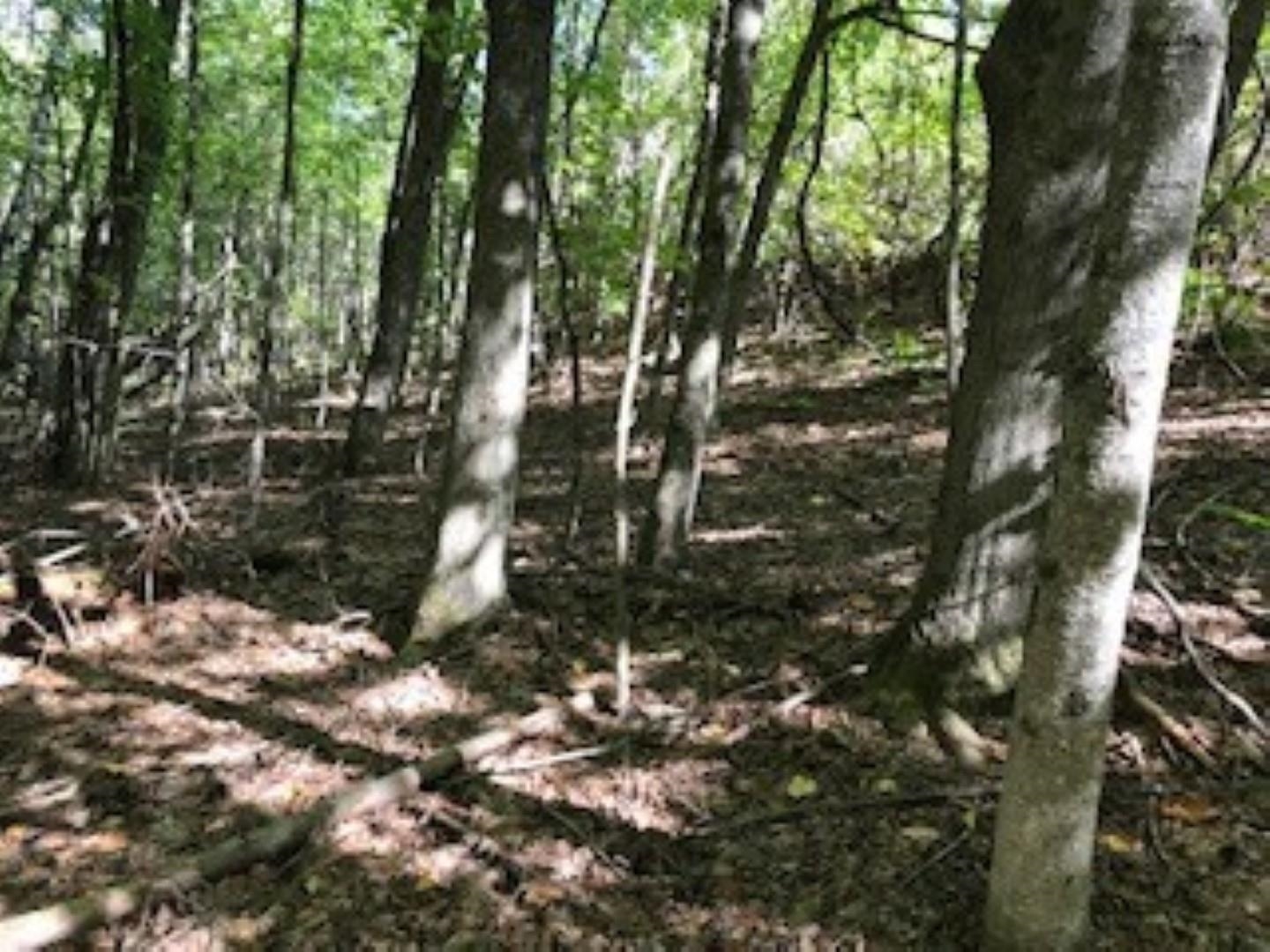 Huff Pond Road Sudbury, VT 05733 - Photo 20 of 39