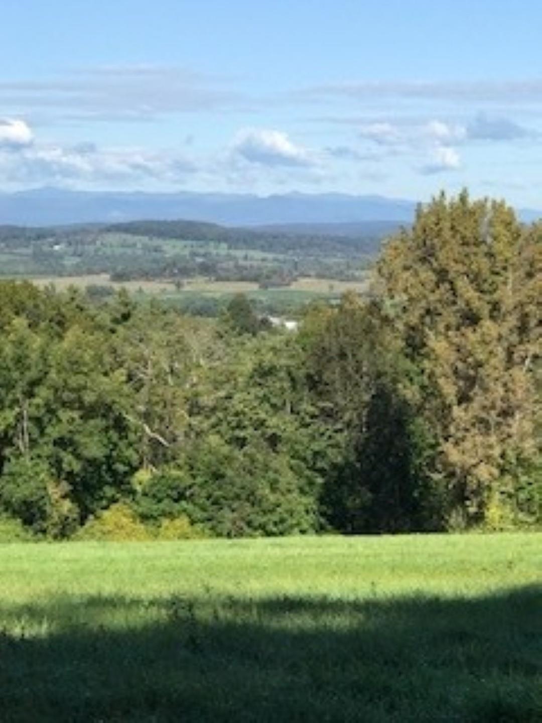 Huff Pond Road Sudbury, VT 05733 - Photo 3 of 39