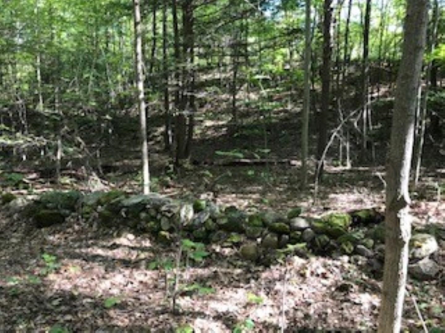 Huff Pond Road Sudbury, VT 05733 - Photo 21 of 39